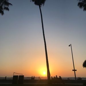 Meet your Posher, Patricia